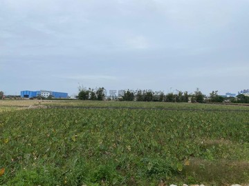 大安區臨十米路旁超值美農地｜台中市大安區安實段