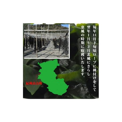 ふるさと納税 和歌山県 湯浅町 BB6055_紀州衣奈産 乾燥わかめ  150g × 3パック