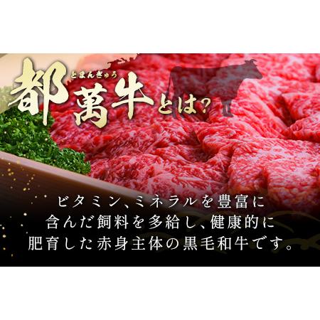 ふるさと納税 赤身主体の黒毛和牛＜都萬牛＞ロースすきしゃぶ 600g すきやき しゃぶしゃぶ 宮崎県新富町