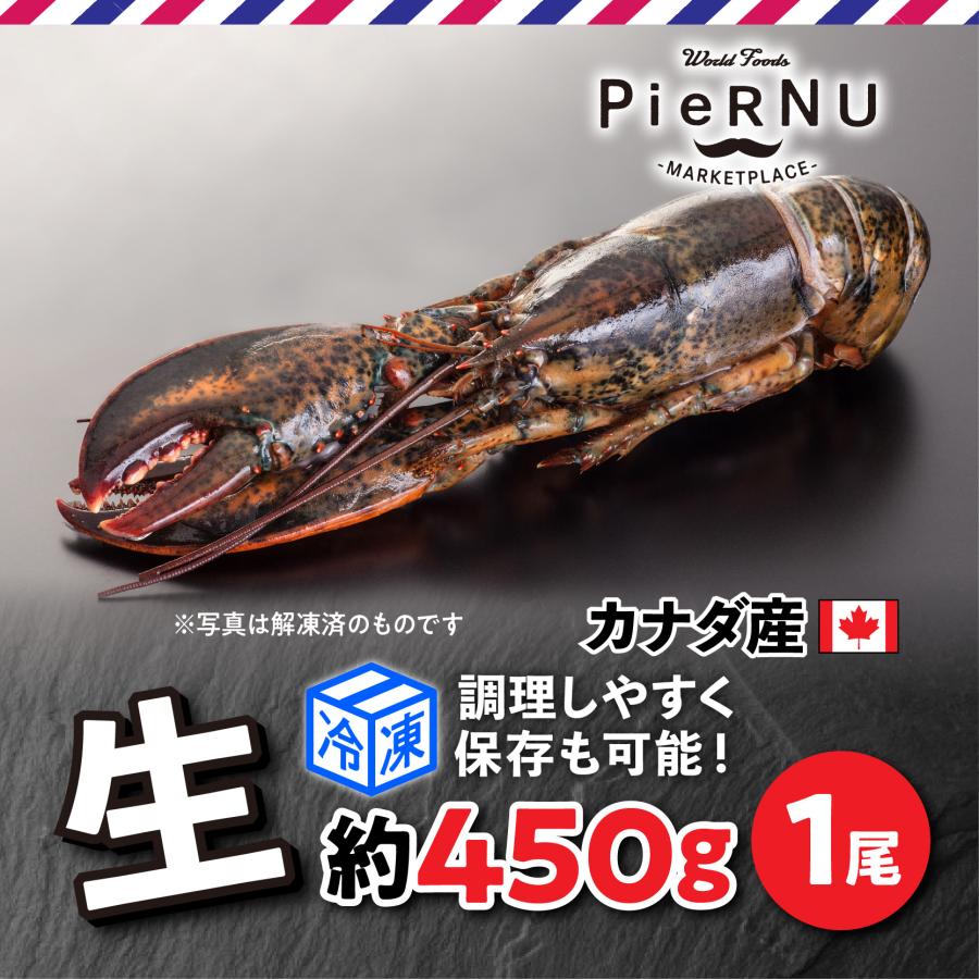 生オマール海老（カナダ産）　1尾(約450g×1）