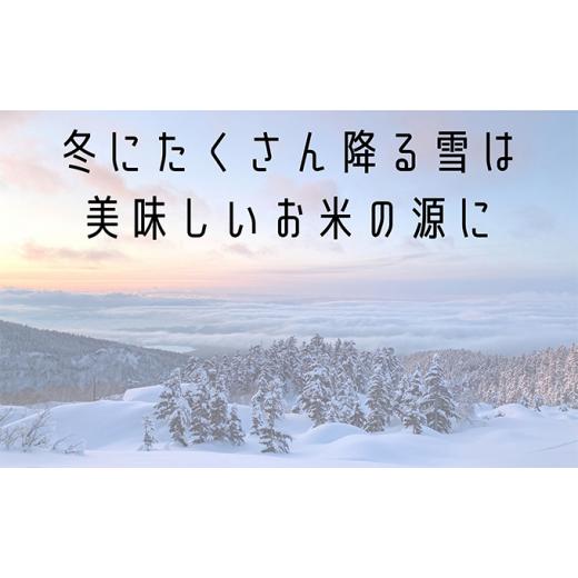 ふるさと納税 北海道 上富良野町 ◆2ヵ月に1回お届け／計6回定期便◆ゆめぴりか 精米 5kg ／北海道 上富良野産 〜It's Our Rice〜