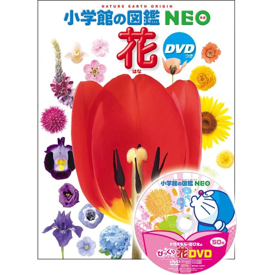 DVD付 花