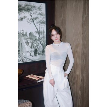 2025年秋季新款打底衫小眾設計感修身百搭氣質圓領微透長袖T恤女