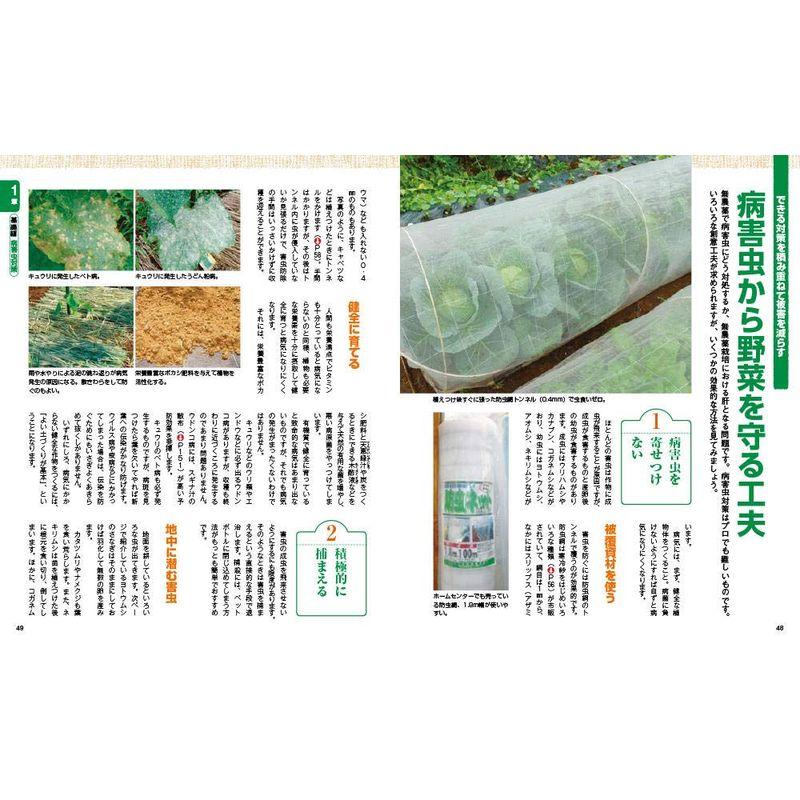 プロが教える有機・無農薬おいしい野菜づくり