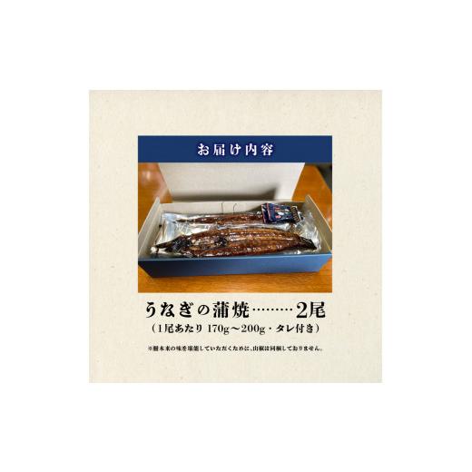 ふるさと納税 福岡県 久留米市 うなぎの蒲焼　２尾セット（特大サイズ　一尾　１７０g〜２００g）