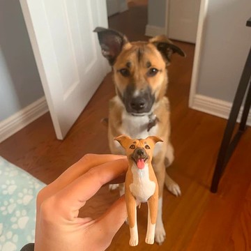 【客製化3D寵物紀念公仔】訂製手作似顏繪肖像狗狗貓咪毛小孩娃娃