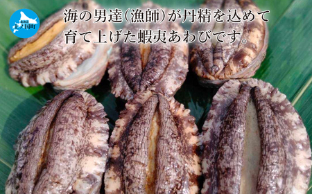 北海道産 海洋牧場育ち養殖活蝦夷あわび　7㎝以上×6個