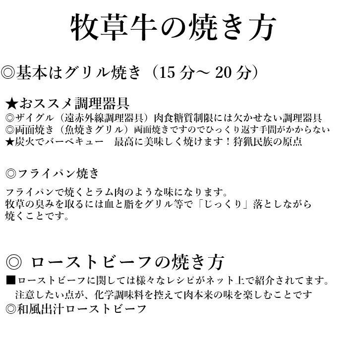 赤身肉　リブアイロース 250ｇカット(500g)　グラスフェッドビーフ 牧草牛 赤身肉 ステーキ肉 ローストビーフ リブロース キューブロール