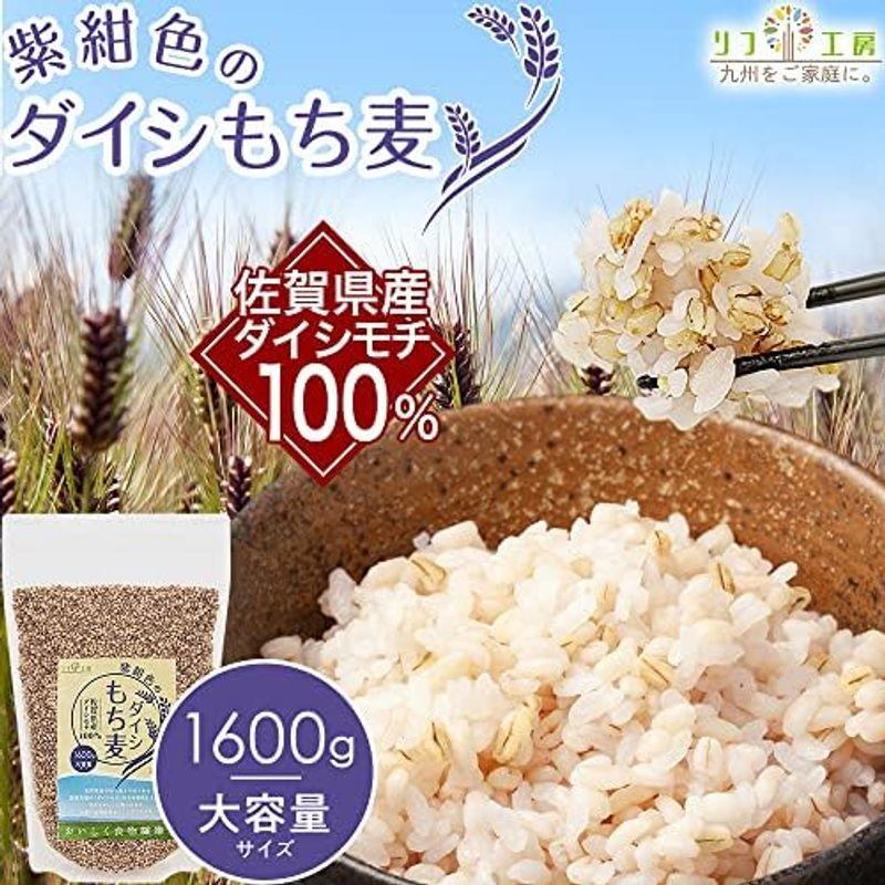 もち麦 国産 ダイシモチ 佐賀県産100% 紫紺色のダイシもち麦 1600g（1.6kg） リフ工房 もちむぎ 国産 もち 麦 麦飯 麦ごは