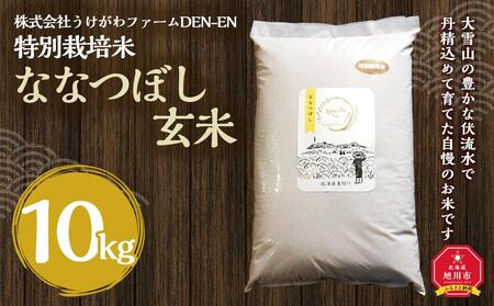 特別栽培米　ななつぼし玄米　10kg　令和5年産　新米