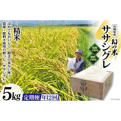 ふるさと納税 加美町 希少品種「ササシグレ」精米5kg 全12回