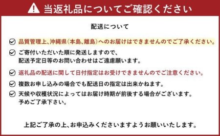 あまおう大好き定期便 合計約3.8kg あまおう あまおうジェラート あまおうレアチーズケーキ フルーツ 果物