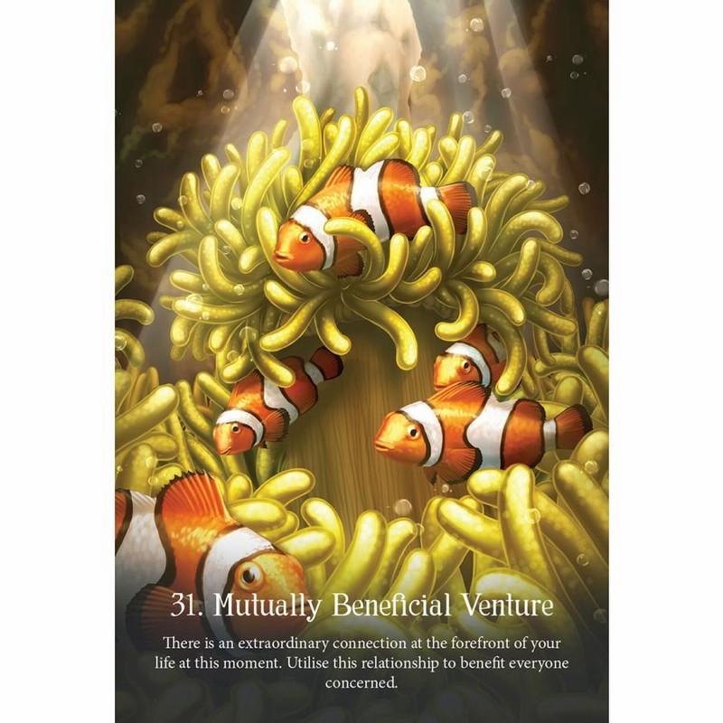 ウィスパーズ オブ ザ オーシャン オラクル カード Whispers Of The Ocean Oracle Cards 占い オラクルカード 英語のみ 通販 Lineポイント最大0 5 Get Lineショッピング