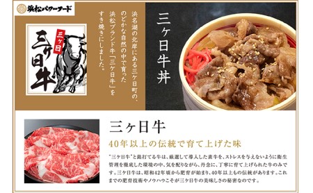 静岡祭丼　三ヶ日牛丼セット