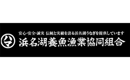 浜名湖うなぎ長蒲焼　2枚入