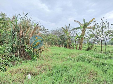 蘆竹正新生路都內農｜桃園市蘆竹區新庄子