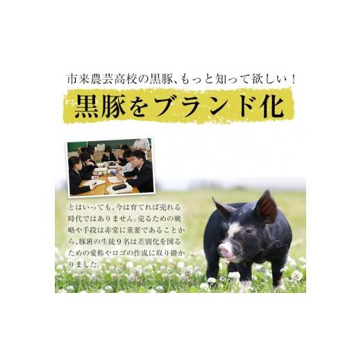 ふるさと納税 鹿児島県 いちき串木野市 A-1008　金の桜黒豚入り「かた焼そば」（レンジ対応）