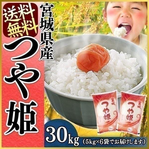 つや姫 30kg お米 30kg 米 送料無料 白米 安い 一等米 宮城県産 うるち米 5kg×6袋 精白米 令和5年産 ごはん おいしい ご飯 こめ