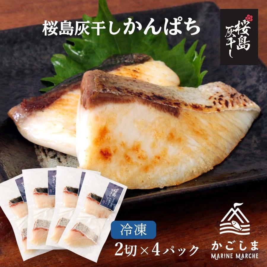 送料無料 [清泉社] 魚介類加工品 かんぱち 2切×4パックセット 干物 ひもの おつまみ 灰干し 桜島 鹿児島 手作り