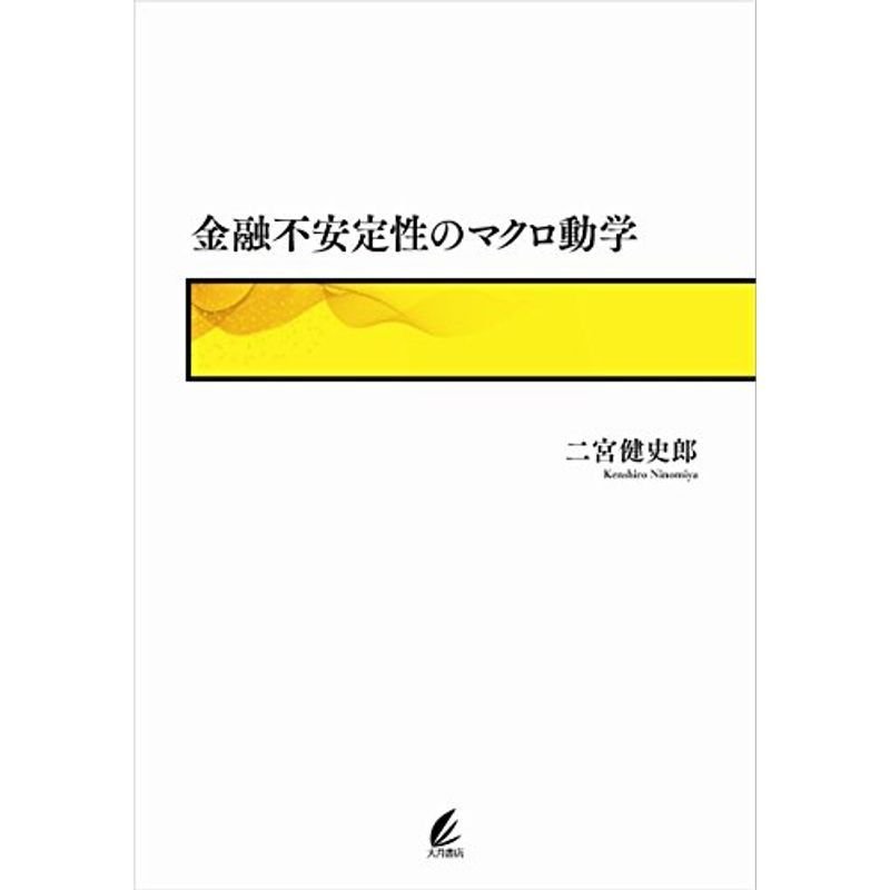 金融不安定性のマクロ動学