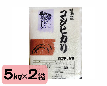 新潟産コシヒカリ 加茂市七谷産 棚田米 精米10kg（5kg×2）白米 真空パック 青柳米店 定期便 定期購入 定期 コシヒカリ 新潟県産コシヒカリ 米 お米