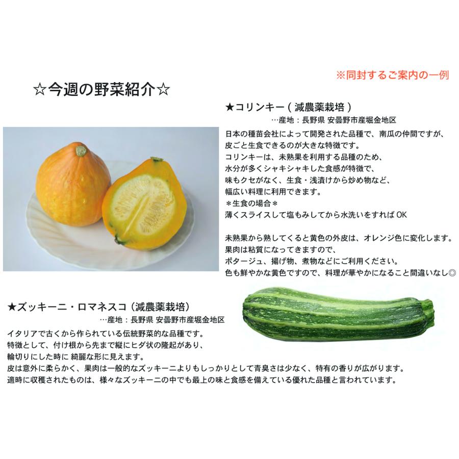 季節のお野菜・果物セット 大