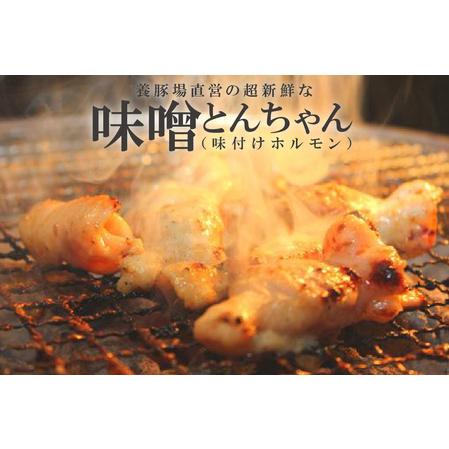 ふるさと納税 養豚場直営の超新鮮な味噌とんちゃん（味付けホルモン） 愛知県常滑市