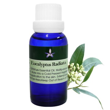 Body Temple有機尤加利芳療精油30ml