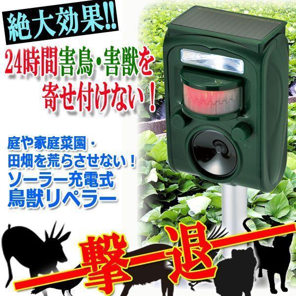 庭や家庭菜園・田畑を荒らさせない！ソーラー充電式鳥獣リペラー  (コウモリ ネズミ 威嚇 夜行動物 死活問題 深刻な被害)