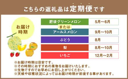 厳選 フルーツ 便  メロン ぶどう 梨 いちご  葡萄 ブドウ ナシ なし 苺 イチゴ 果物 くだもの セット 詰合せ 定期便