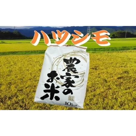 ふるさと納税 池田町農家　令和5年産特別栽培米ハツシモ　10kg×2　白米 岐阜県池田町