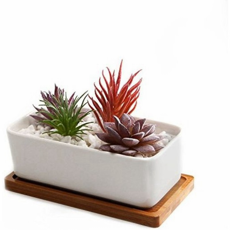 T4u 16 5cm 陶器鉢 植木鉢 多肉植物鉢 サボテン鉢 竹トレイ付き 底穴付き 白 長方形 通販 Lineポイント最大0 5 Get Lineショッピング