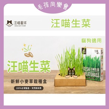 汪喵星球 汪喵生菜 貓草新鮮栽培盒 新鮮貓草 自己種最新鮮 單入 & 3入裝 自由選 貓草 小麥草
