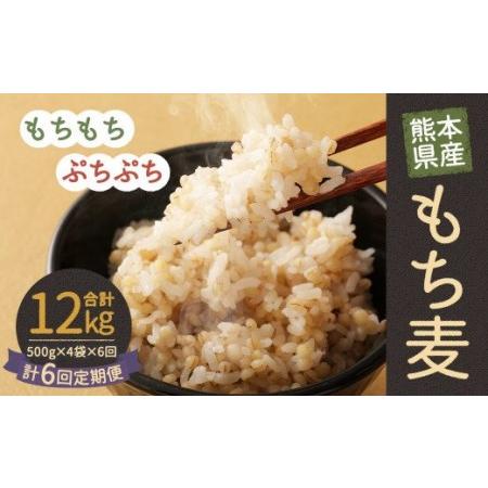 ふるさと納税  熊本県産 もち麦 合計12kg 熊本県人吉市