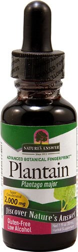 Nature's Answer Plantain 2000 mg - 1 fl oz