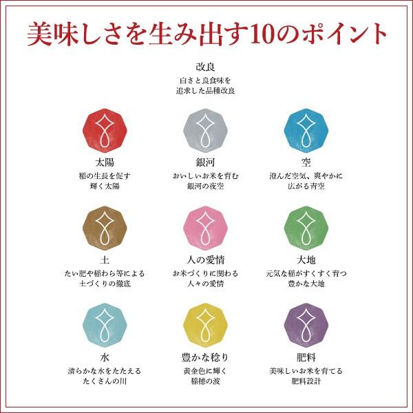 新米 銀河のしずく 4kg 令和5年産 岩手県産 白米 お米 送料無料 精白米