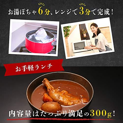 絶品チキンの札幌スープカレー 300g×2食セット レトルト 保存食にも