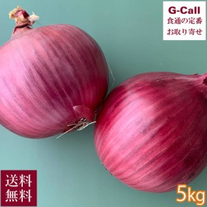 森農園 赤たまねぎレッドアイ 5kg 送料無料 たまねぎ 赤玉ねぎ 野菜 やさい 生食 旬 産地直送 お取り寄せ 玉ねぎ 希少品種 サラダ マリネ