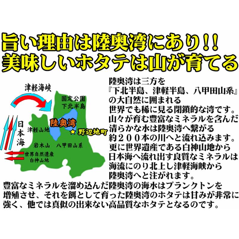 青森 ホタテ 殻付き 活ほたて 大サイズ2キロ 送料無料 青森 陸奥 貝柱が美味 ほたて 2kg（約8枚-12枚）お取り寄せ 海産