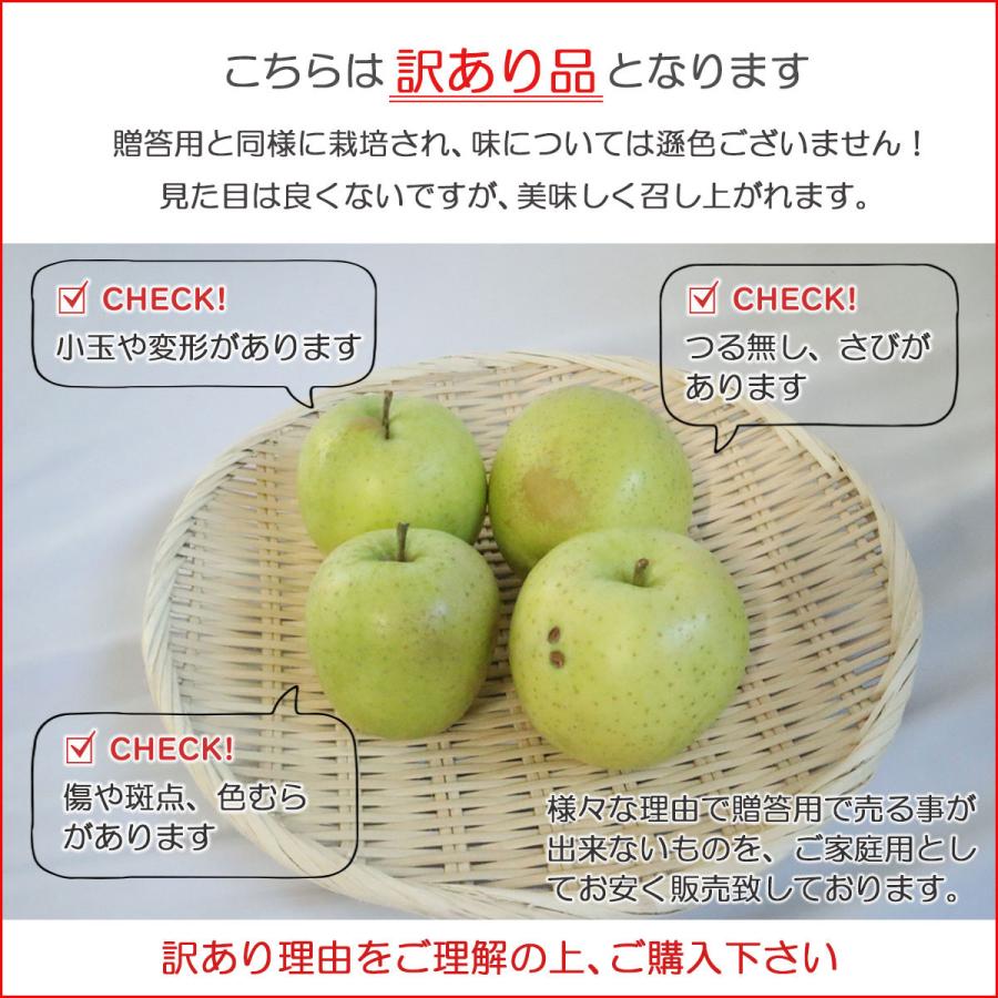 りんご 王林 5ｋｇ（約12玉〜25玉）2023年産 青森県産りんご ご家庭用 訳あり 産地直送 工藤農園