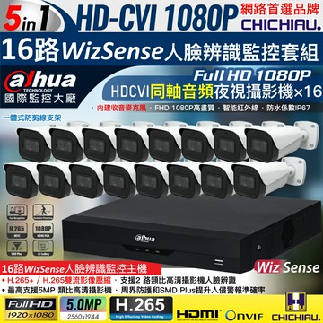 【CHICHIAU】Dahua大華 5MP 16路CVI 1080P數位遠端監控套組(含2MP同軸音頻紅外線攝影機x16)