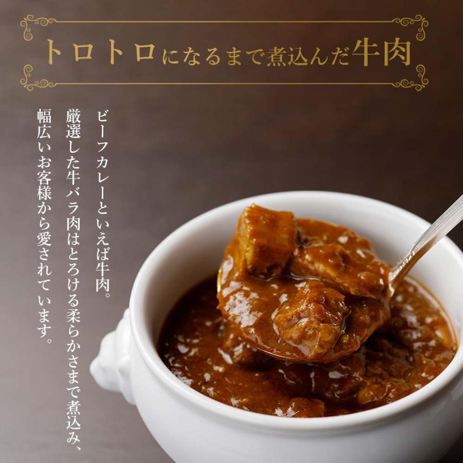 お歳暮 早割 100円OFFクーポン レトルトカレー 2食 セット ハヤシライス ＆ ビーフ 各1食 計2食 カレー 食品 レトルト食品 御歳暮 2023