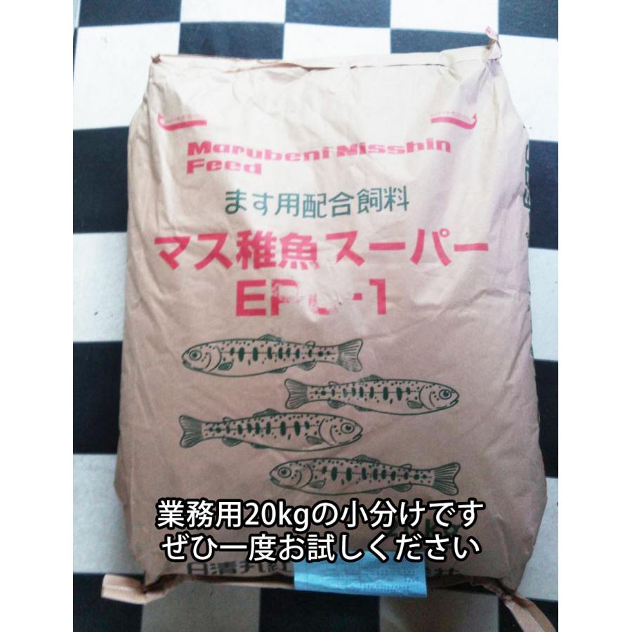 浮上性 日清丸紅飼料ひらめEPF3(3.5mm)5kg小分け品(★宅配便★※東北・北海道・沖縄は別途送料800円／金魚小屋-希-福岡／3日)