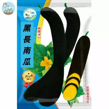 【原廠包裝】南瓜大王（Pumpkin King）26粒裝  黑長南瓜種子 栗子南瓜品種 口感綿密香甜 肉厚籽少 家庭菜園