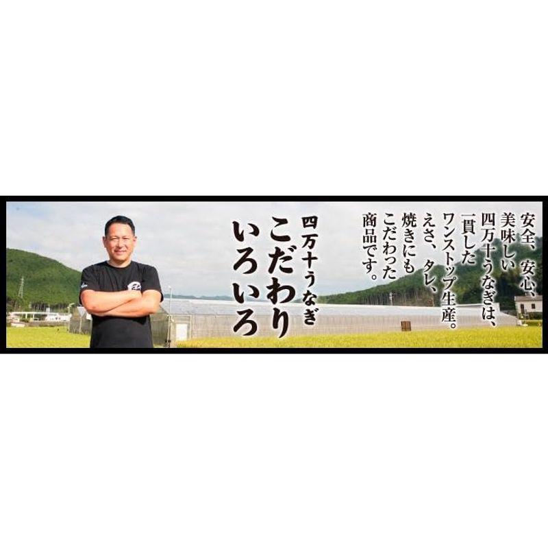 四万十うなぎ 蒲焼110ｇ 白焼き120g 塩うなぎ140g 食べ比べセット