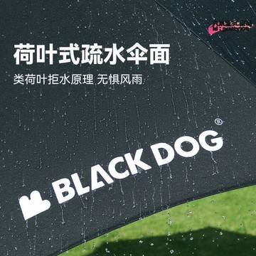 blackdog黑黑膠天幕露營傘幕戶外野營沙灘防曬防雨釣魚遮陽棚