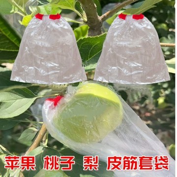 【種植必備】 水果套袋 多入組合 無花果 雪紗袋 防蟲套袋 百香果網袋 絲瓜套袋 黃金果 酪梨套袋 防鳥 防果蠅