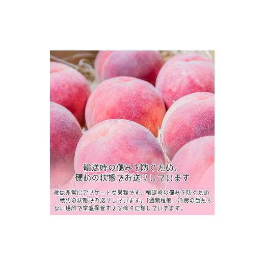 ふるさと納税 山形県 寒河江市 山形の白桃 2kg 品種おまかせ (5〜9玉) 秀品 山形県産 2023年産 　012-B-MM011