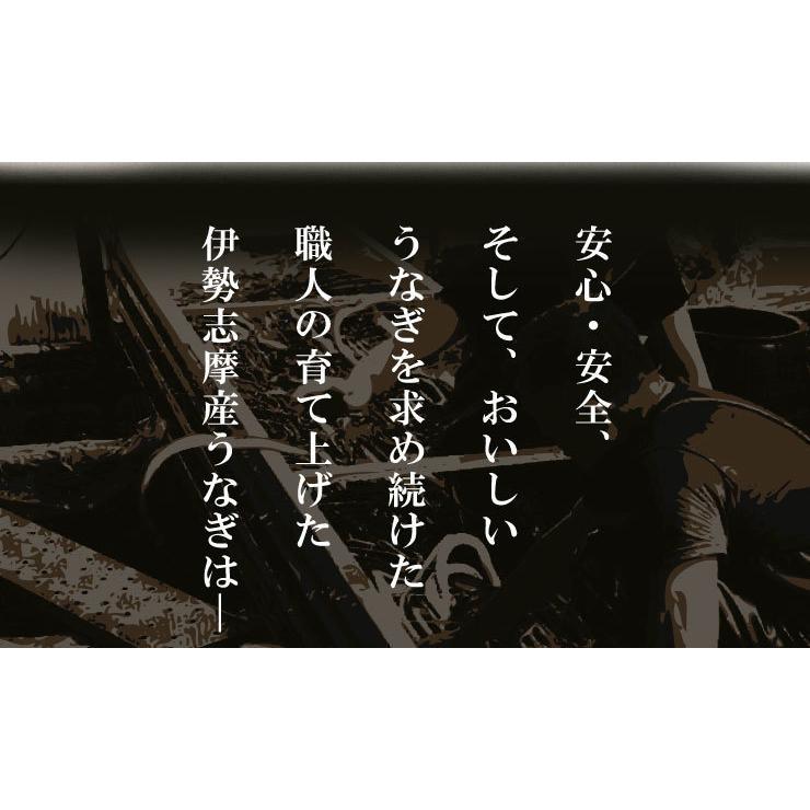 うなぎ 伊勢志摩産 白焼き 特大サイズ ２尾 送料無料 国産 ウナギ 鰻 蒲焼き 丑の日 個包装 冷凍 化粧箱入 お歳暮 ギフト