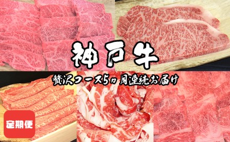 定期便 神戸牛 贅沢コース 5ヵ月連続お届け[ 肉 食べ比べ すき焼き ステーキ 焼肉 切落し 牛肉